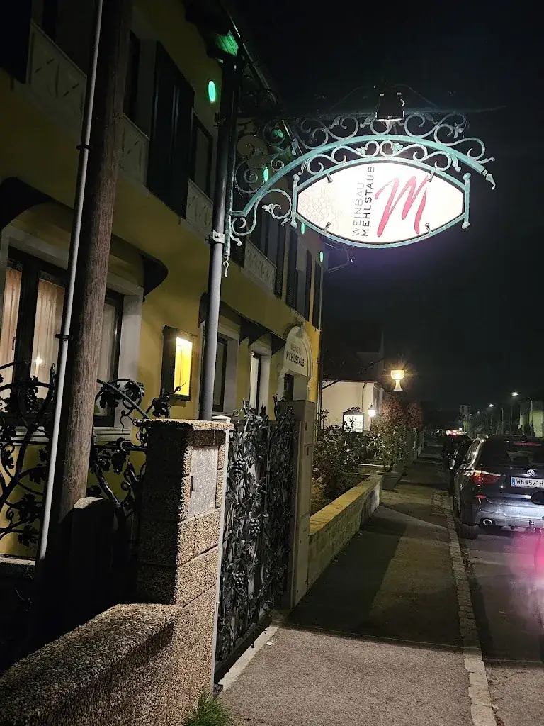 Harald STÖGER_Heuriger Weinbau Mehlstaub_Leobersdorf_review