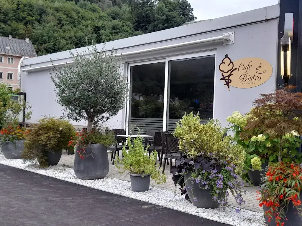 Cafe Bistro_Lilienfeld_slider_image_3