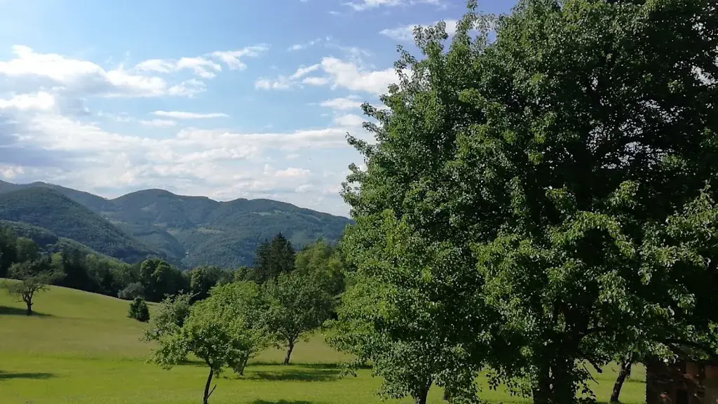 Almgasthof Billensteiner_Lilienfeld_slider_image_3