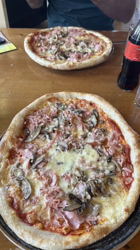 Bahare_Schnitzelwirt_Loosdorf_review