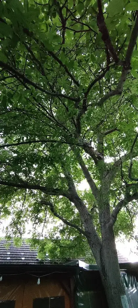 Kevin Desprez_Gasthaus Hofmann_Loosdorf_recensione