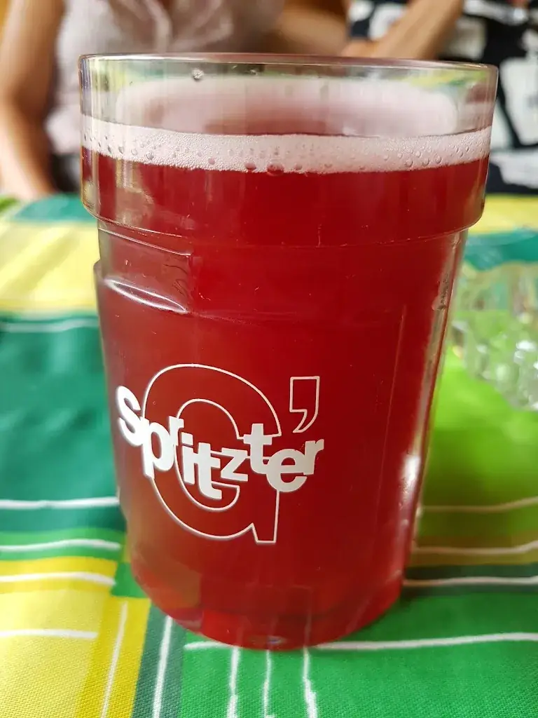 Menu_Stadtwirt Windisch_Mannersdorf am Leithagebirge_immagine_9