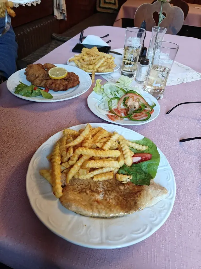 Nina Vidmar_Gasthaus Langer Zitherwirt Dreistetten_Markt Piesting_review