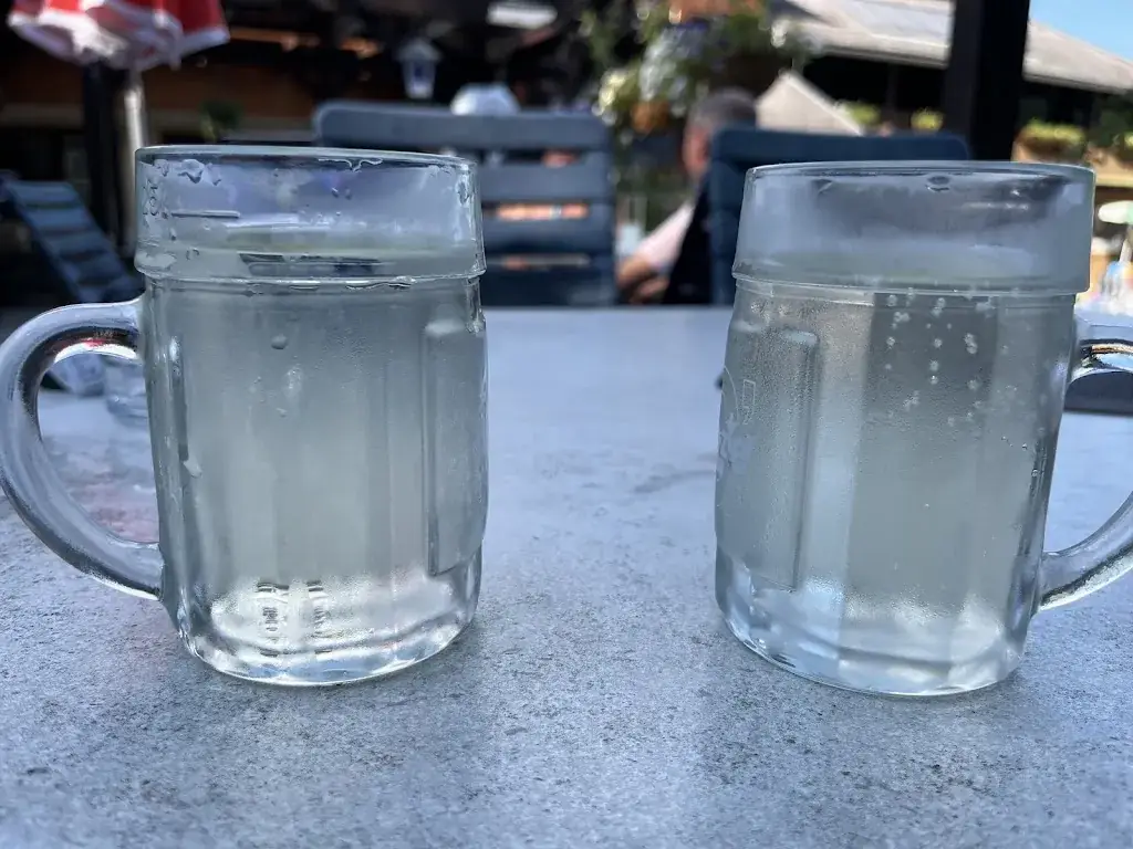 Geri_derWaldwirt_Markt Piesting_recensione