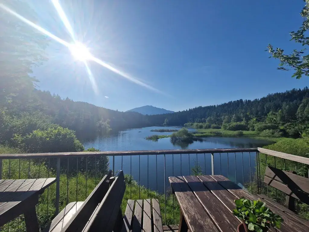 Tracy Scanlon_Erlaufstauseeschänke, geöffnet bei Schönwetter_Mitterbach am Erlaufsee_review