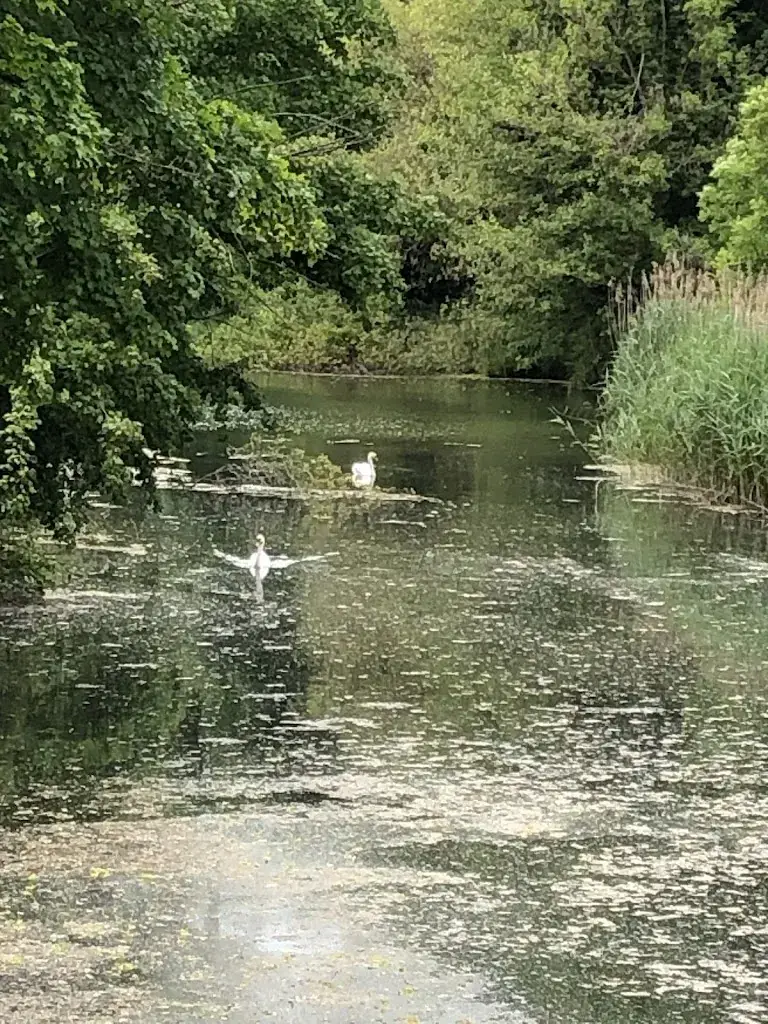 U Schlögl_Zur Mucke _Muckendorf an der Donau_review