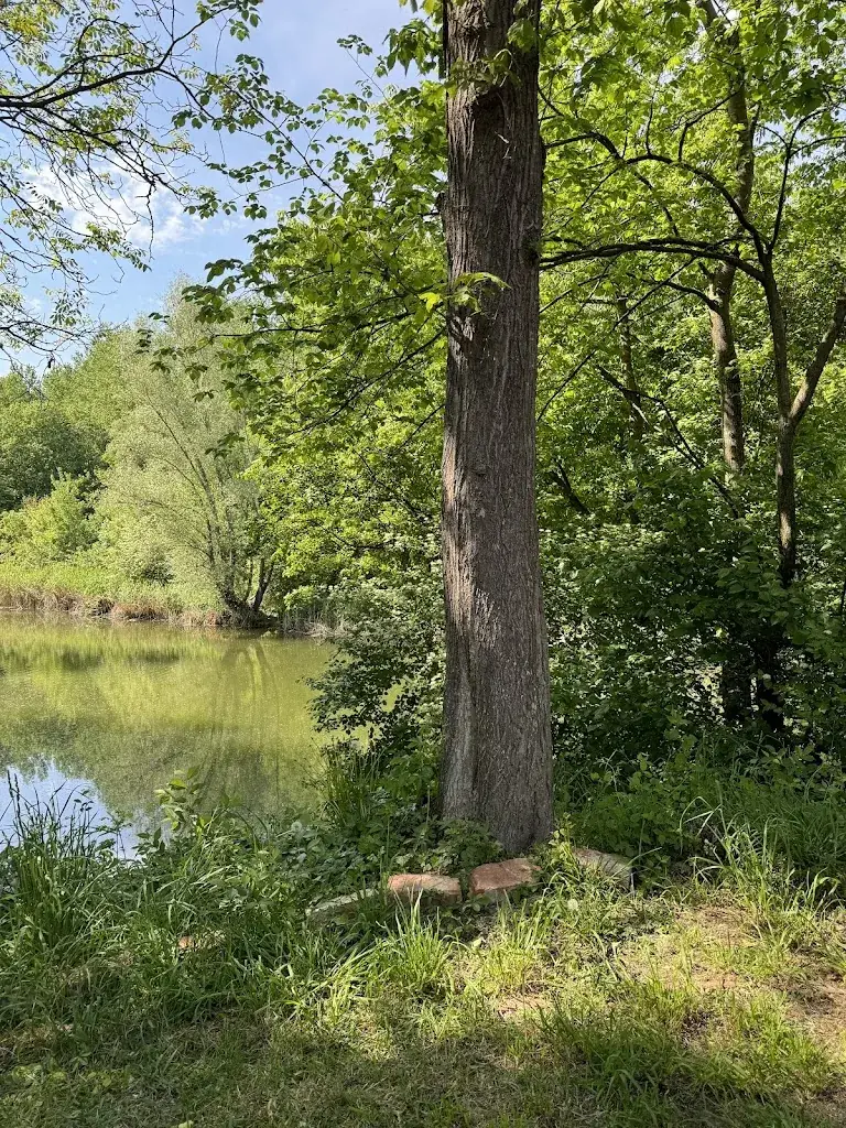 Markus_Zur Mucke _Muckendorf an der Donau_review