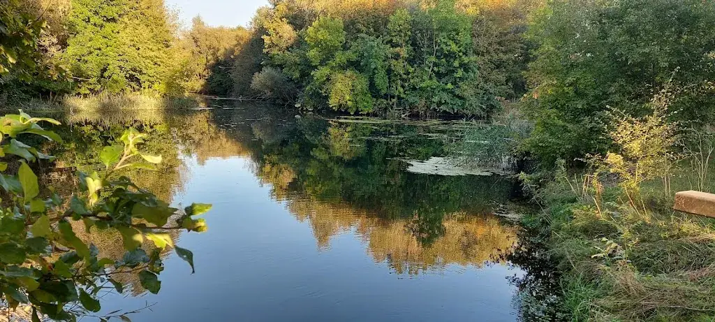 Zur Mucke _Muckendorf an der Donau_slider_image_3