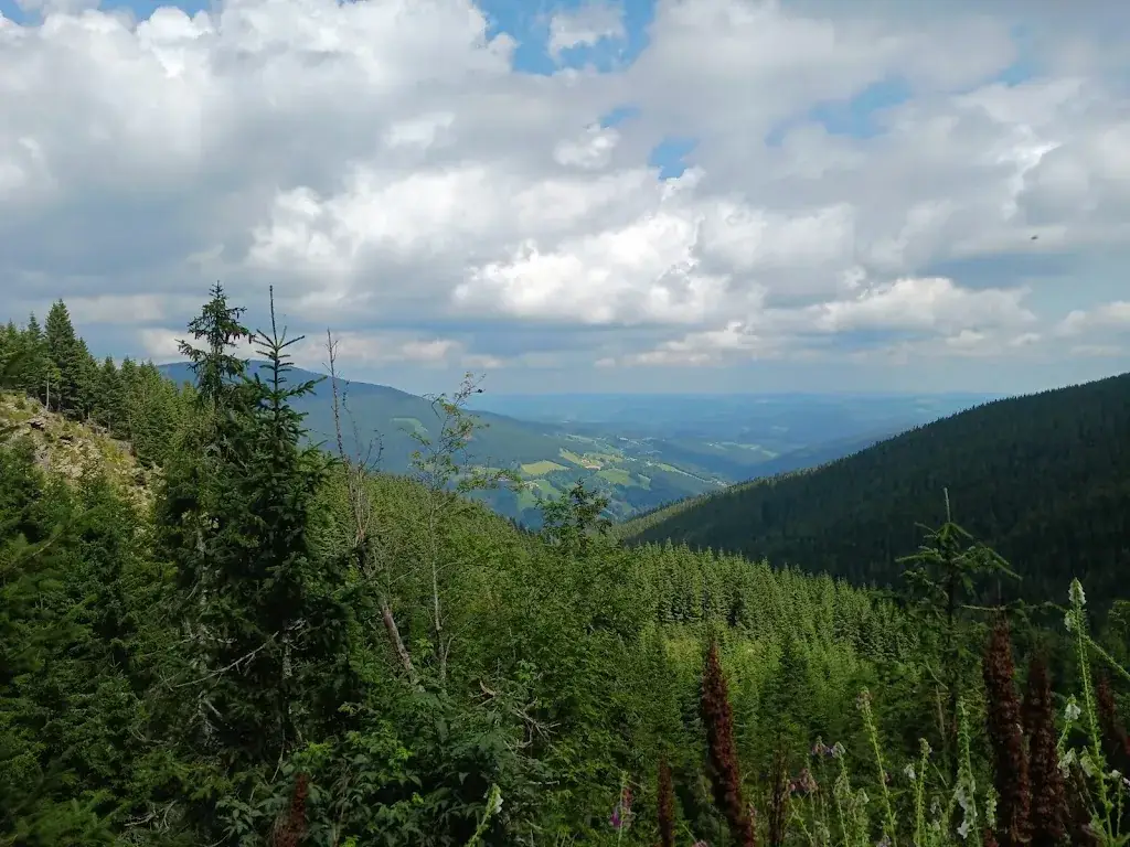 Filip Chybík_Alpengasthof Fernblick Fam Pölzelbauer_Mönichkirchen_reseña