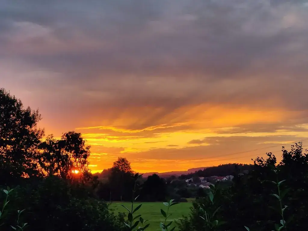 Gasthaus Waldgarten_Miesenbach_slider_image_3