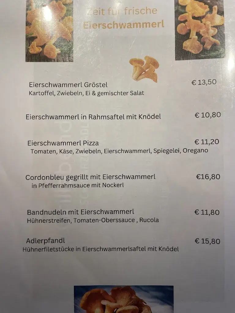 Menu_Gasthaus zum Schwarzen Adler_Neumarkt an der Ybbs_image_1