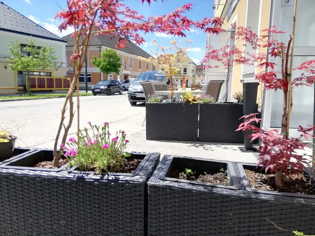 Gasthaus zum Schwarzen Adler ristorante a Neumarkt an der Ybbs