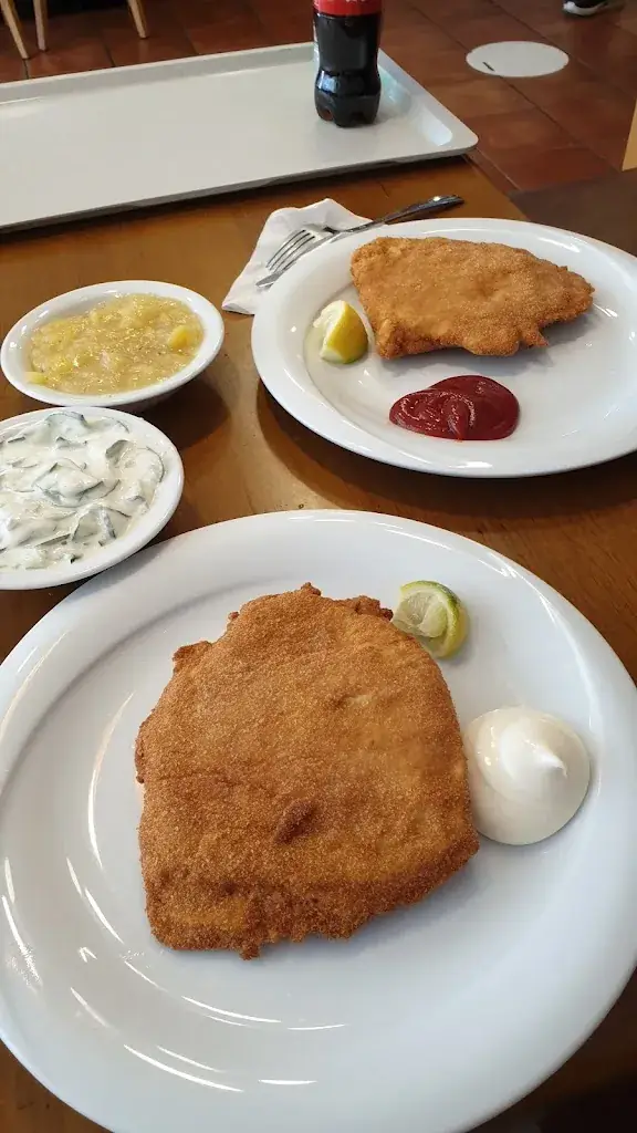 Michal Kolář_Schnitzelhaus Mistelbach Inh. Arslan Oktay_Mistelbach_recensione