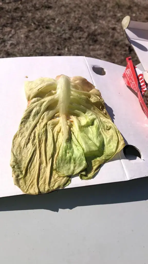 Menu_Pizza-Service-Hollywood_Mistelbach_image_5