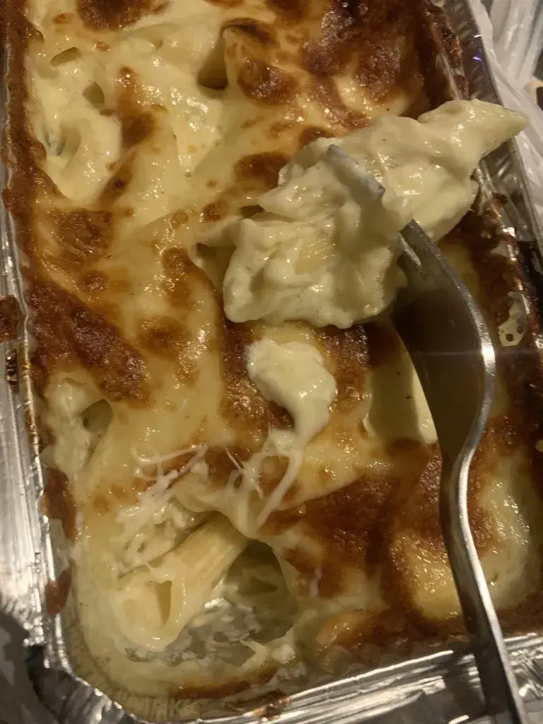 Tierschule - Manon Anzböck Animaltraining_Pizza-Service-Hollywood_Mistelbach_review