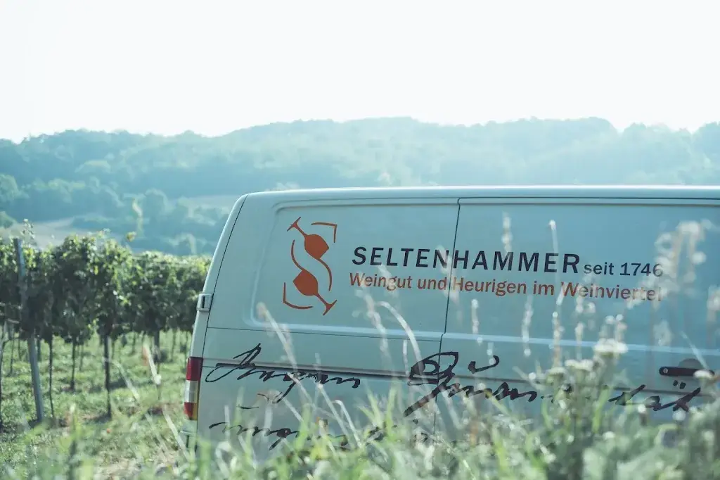 Weingut und Heurigen Seltenhammer restaurant in Mistelbach