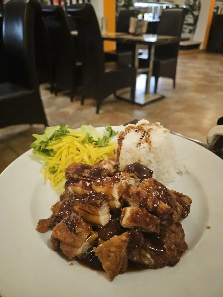 Khalaf Alkaabi_WOK Restaurant Neusiedl am See_Neusiedl_review