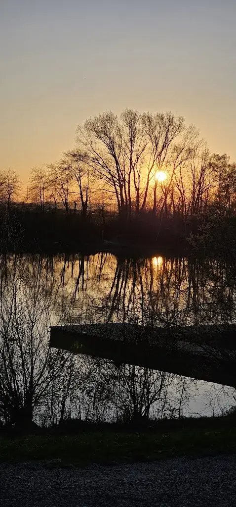 Sabine Strigler_Seeplatz'l_Ober-Grafendorf_recensione