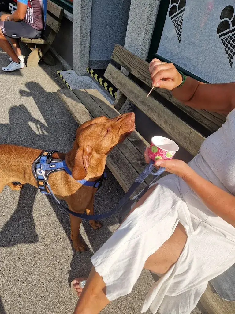 Sandra Pröwer_AL-AR Eisdiele_Ober-Grafendorf_avis