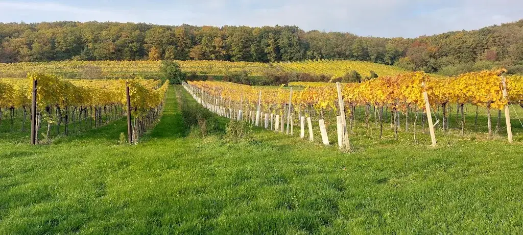 Köllaschank Müllner Michl ristorante a Oberwölbling