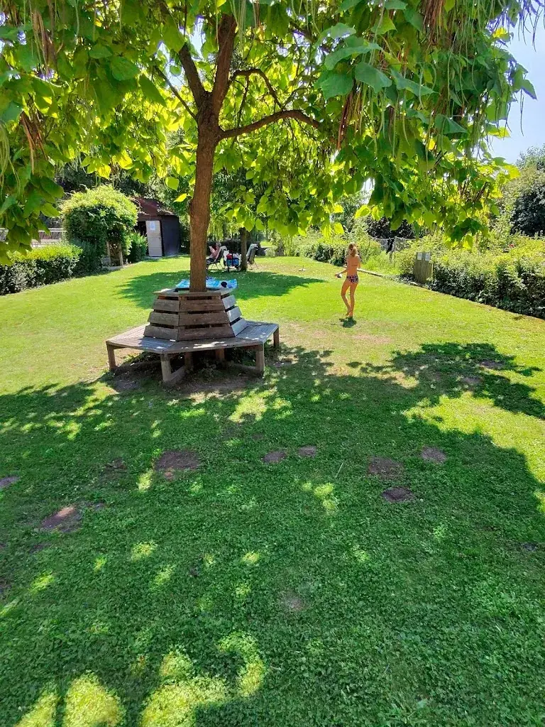 Waldbad_Oberwölbling_slider_image_2