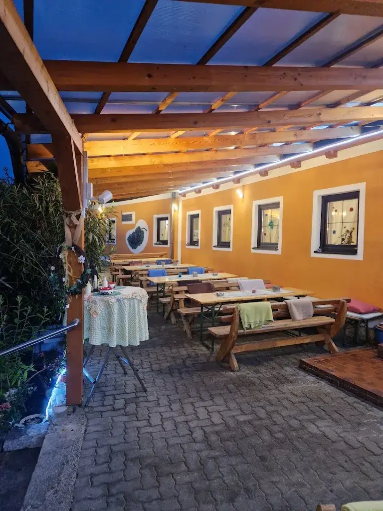 Michael Brauneis (Elektromichl)_Winzerhaus Erika Friewald_Oberwölbling_recensione