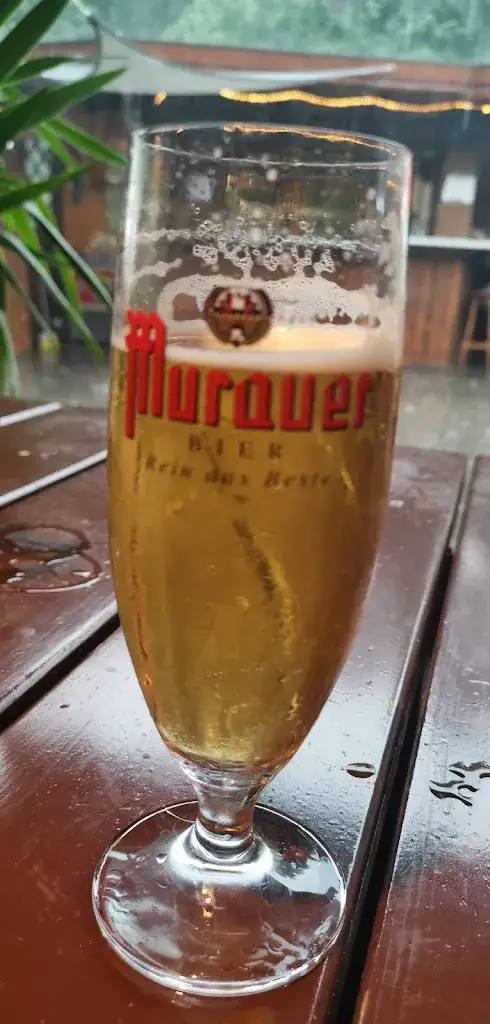 Judith Fejtl-Pinkhart_Karin`s Gaststube_Oberwölbling_avis