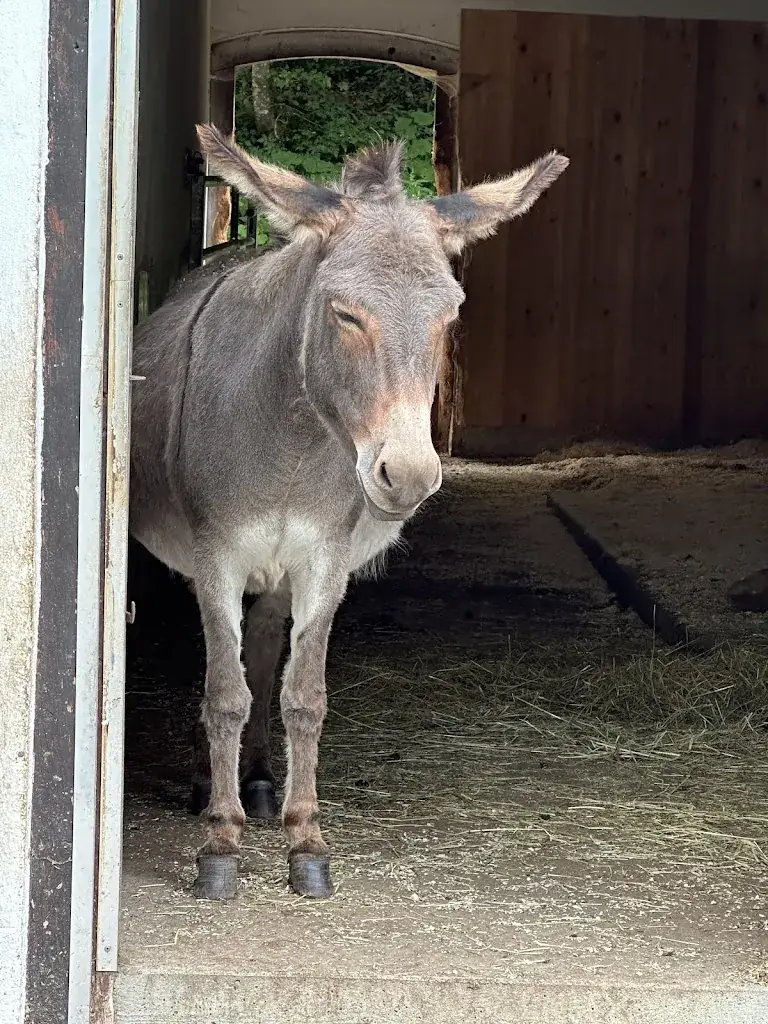 Dr. Britta Padberg-Schmitt_Berggasthof Oytalhaus Oberstdorf_Obersdorf_review
