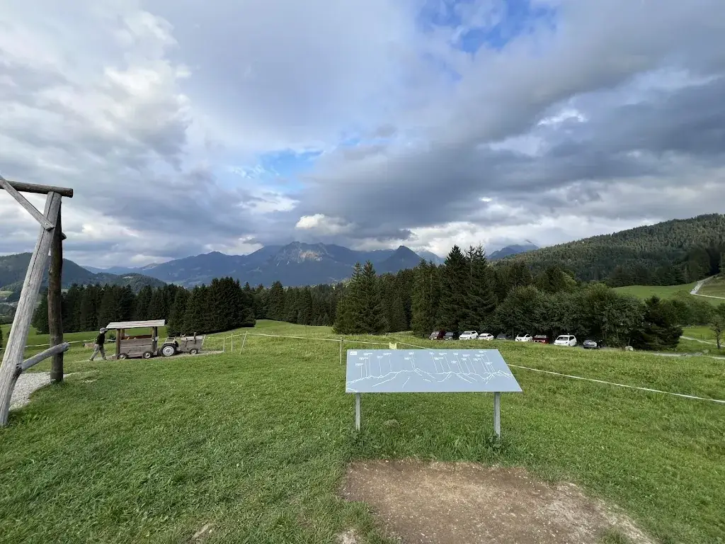 Suwarie Topaz_Alpe Dornach_Obersdorf_recensione