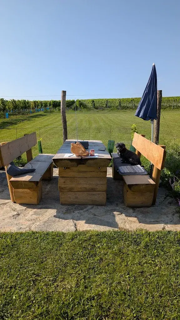 Kerstin Hemme_Weingarten.rocks_Pernersdorf_recensione