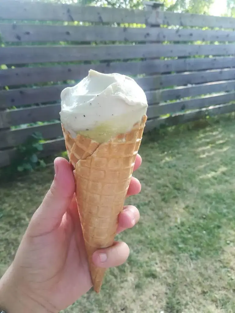 Bence Méray-Horváth_Cafe Bar Mosa_Pernitz_recensione