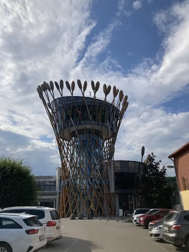 LemLem Oliveira_Haubiversum_Petzenkirchen_recensione