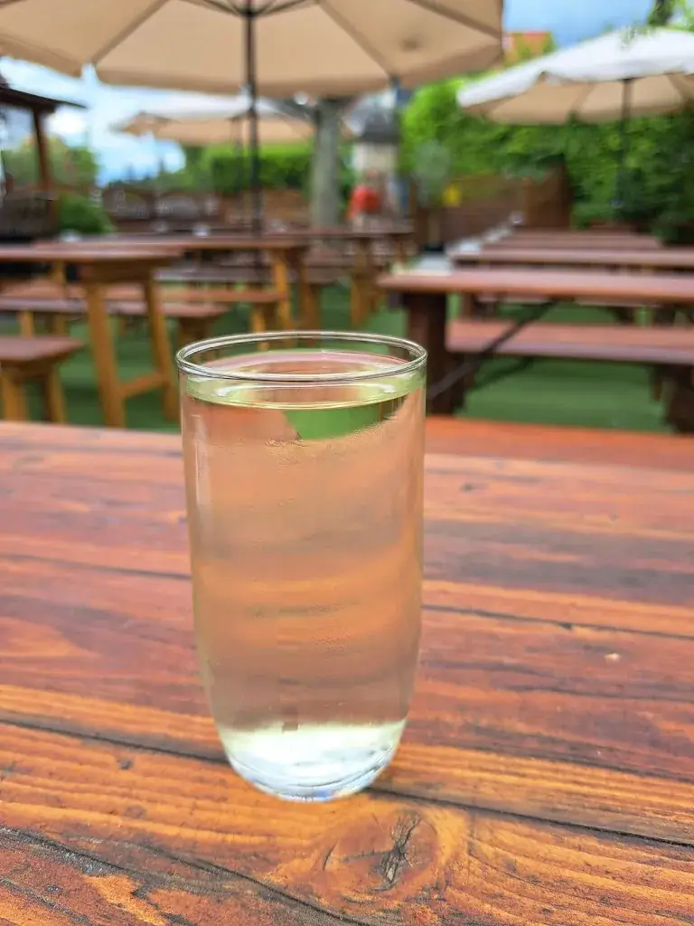 Edith Svoboda_Winery Wölflinger Karl & Karin_Perchtoldsdorf_review