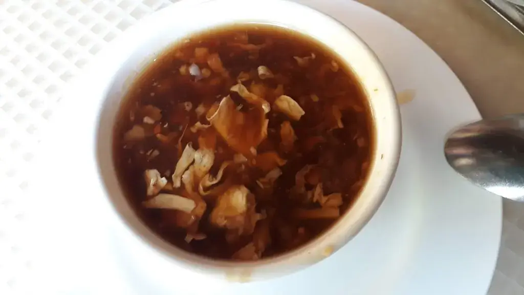 Menu_Chinarestaurant Xin Yu_Pfaffstätten_immagine_7