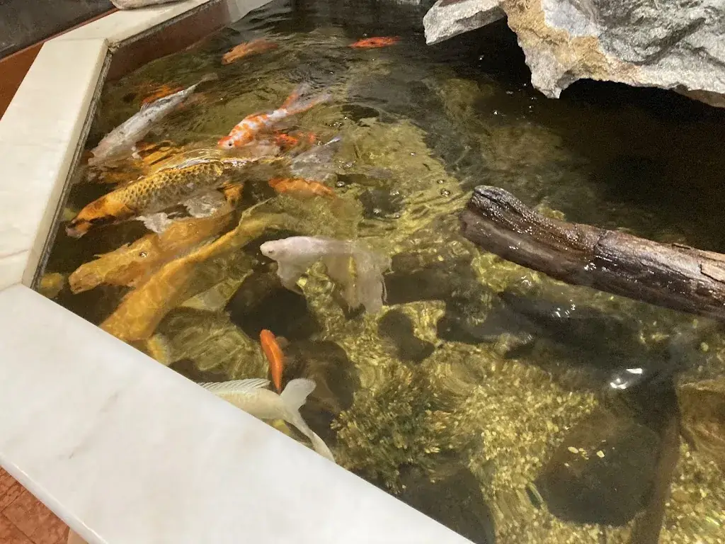 Menu_Chinarestaurant Xin Yu_Pfaffstätten_immagine_9