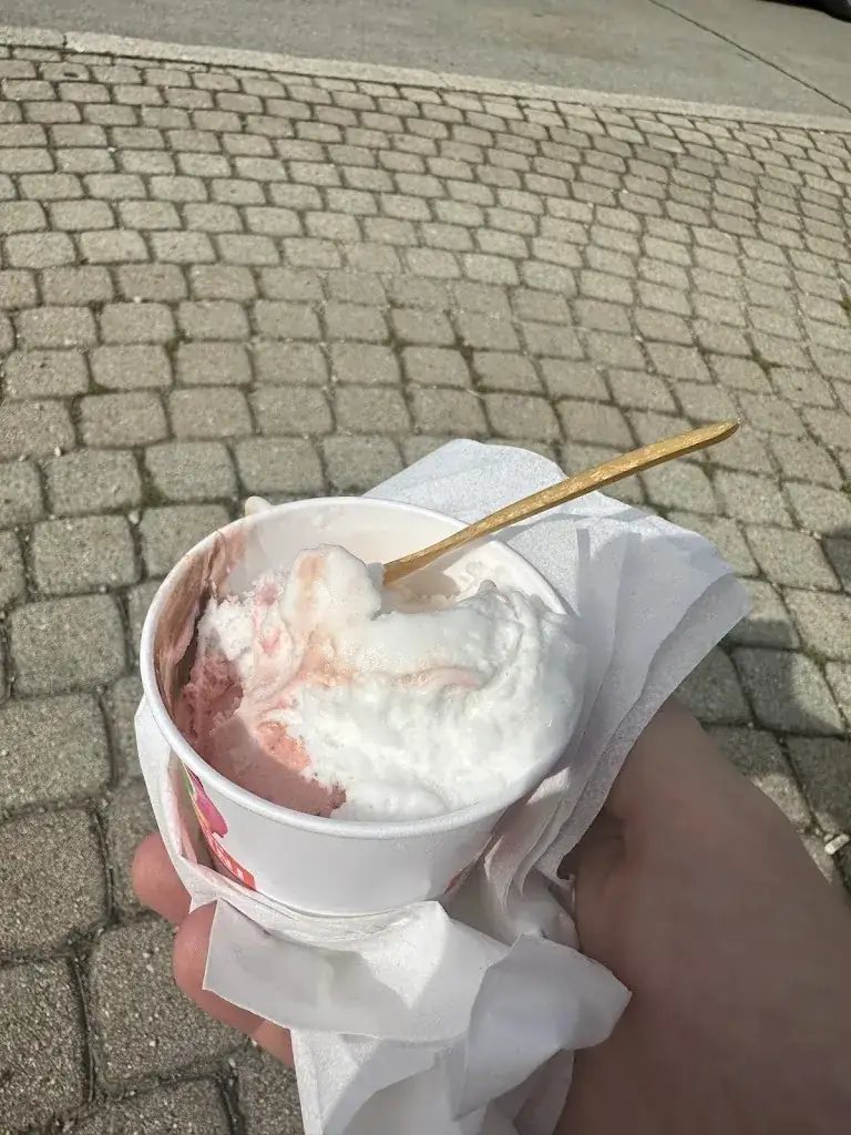 Ludwig Semper_Eissalon Zakini_Pfaffstätten_avis