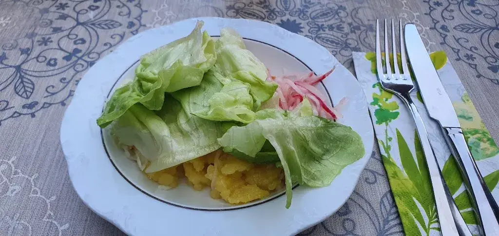 Menu_Zum Roten Löwen_Politischer Bezirk Gmünd_image_6