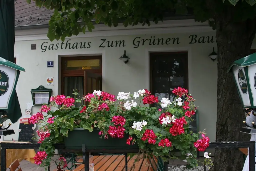 Gasthaus Zum Grünen Baum_Politischer Bezirk Mistelbach_slider_image_3