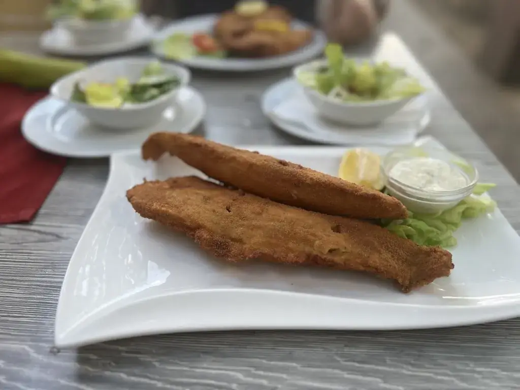 Tamas_Gasthaus Weidinger- Joni gastro gmbh_Politischer Bezirk Wiener Neustadt_review