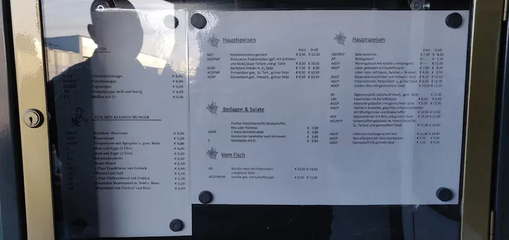 Menu_Fliegerstüberl_Politischer Bezirk Wiener Neustadt_immagine_3