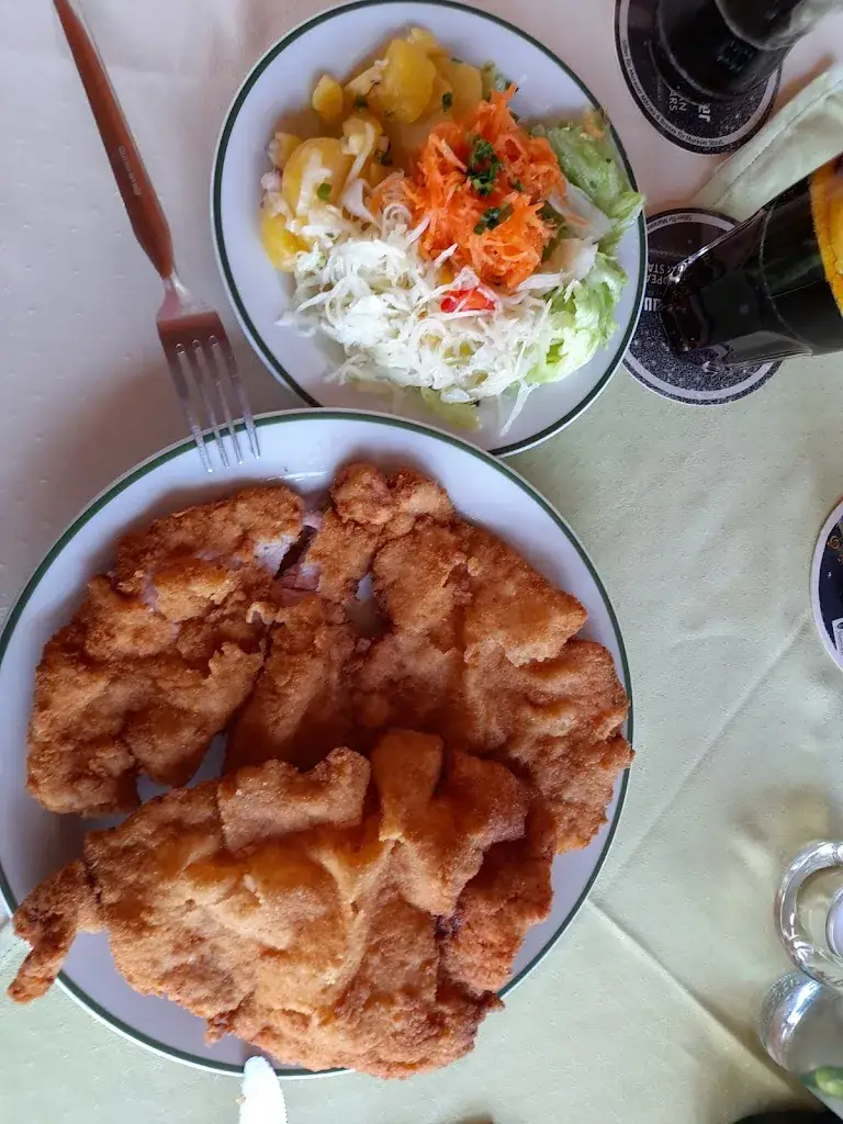 Menu_Fliegerstüberl_Politischer Bezirk Wiener Neustadt_immagine_4