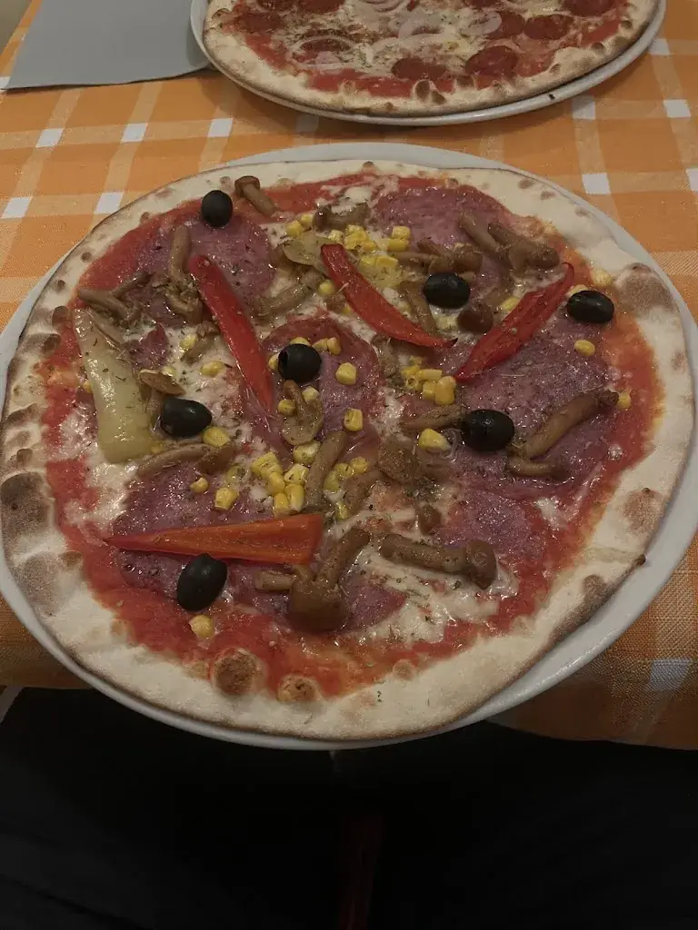 Mustafa Cızgıç_Fratelli d'Italia_Politischer Bezirk Wiener Neustadt_review