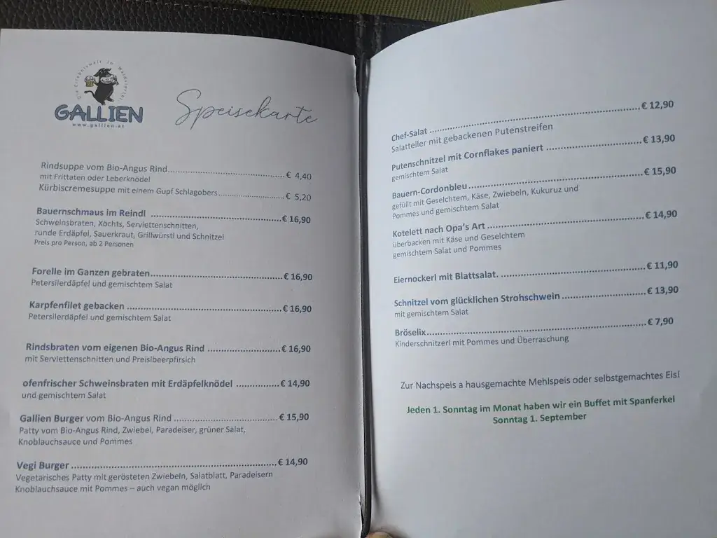 Menu_Gallien - Gallien Bräu_Politischer Bezirk Horn_immagine_3