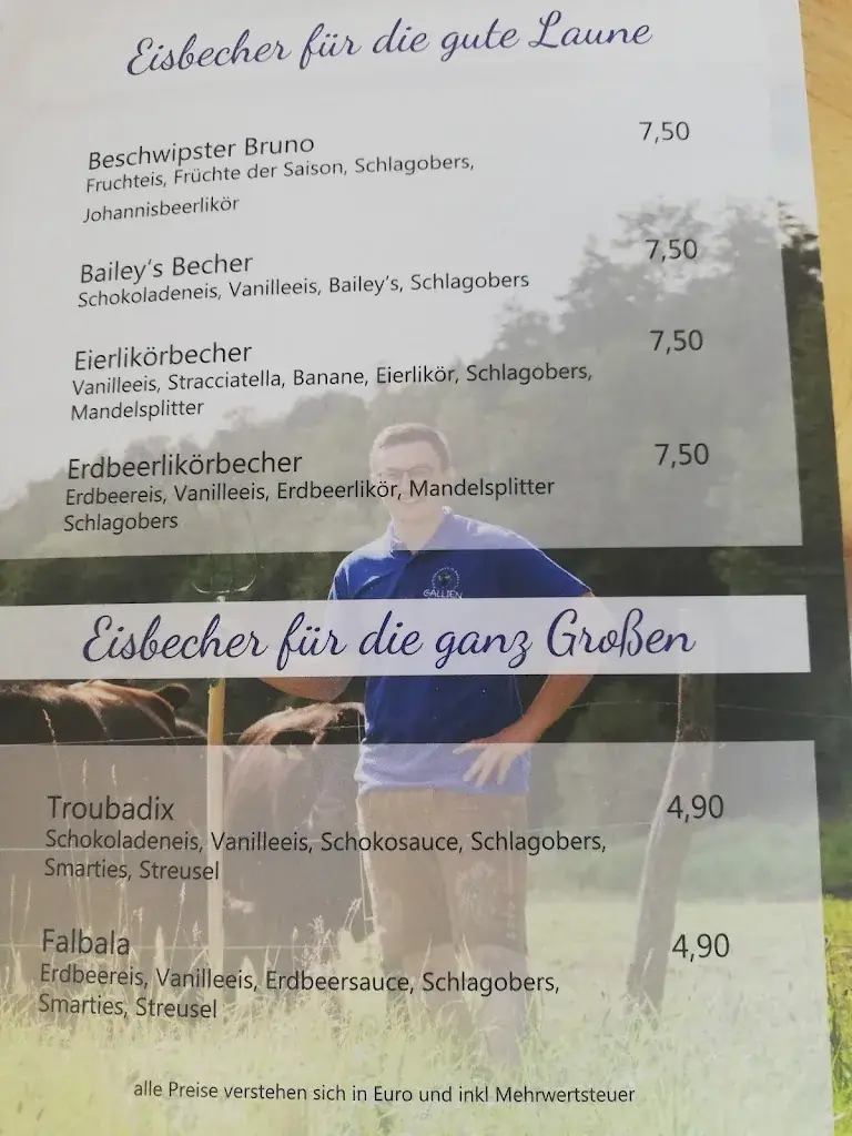 Menu_Gallien - Gallien Bräu_Politischer Bezirk Horn_immagine_4