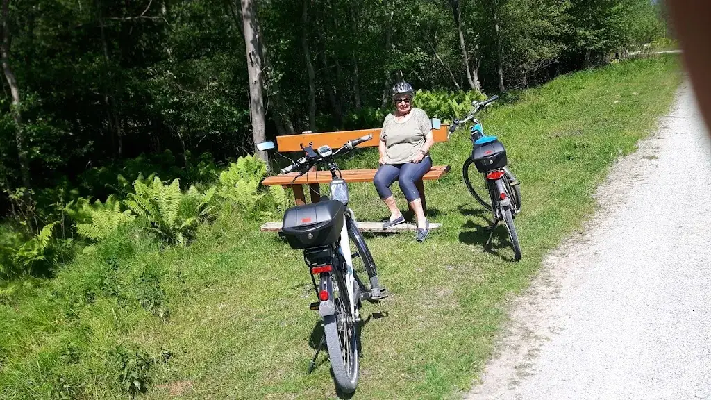 Heuriger Cecil_Leithaprodersdorf_slider_image_2