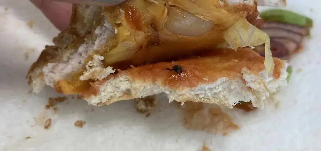 Menu_Schnitzelpalast Horn_Politischer Bezirk Horn_image_7