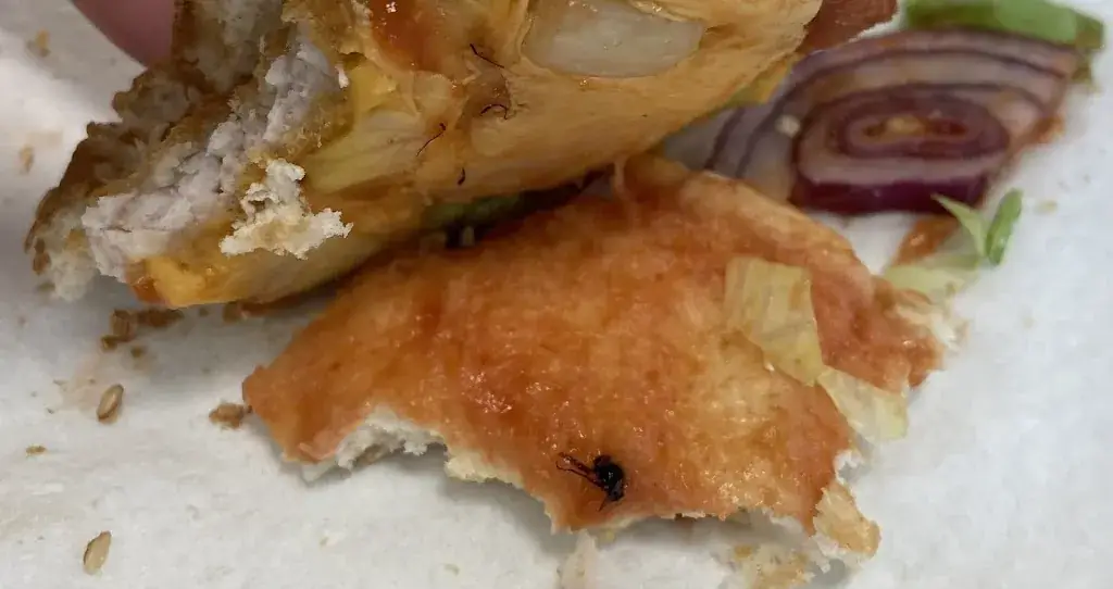 Menu_Schnitzelpalast Horn_Politischer Bezirk Horn_image_9