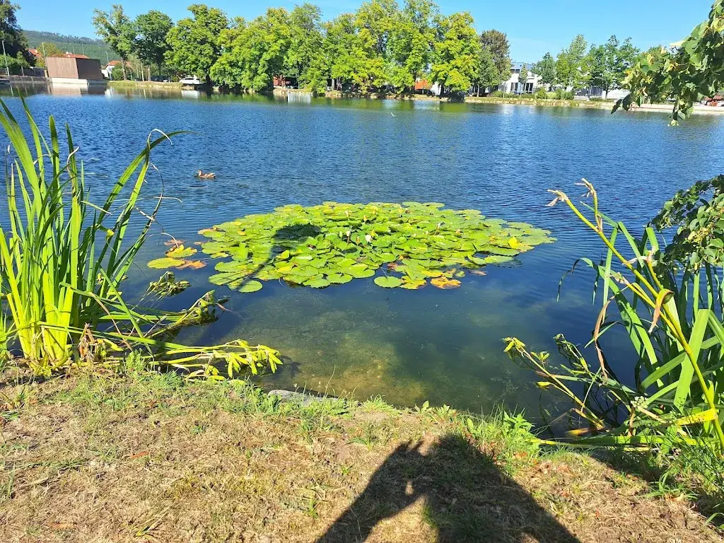 SANDRA SCHLAGER_Horner Stadtsee_Politischer Bezirk Horn_review