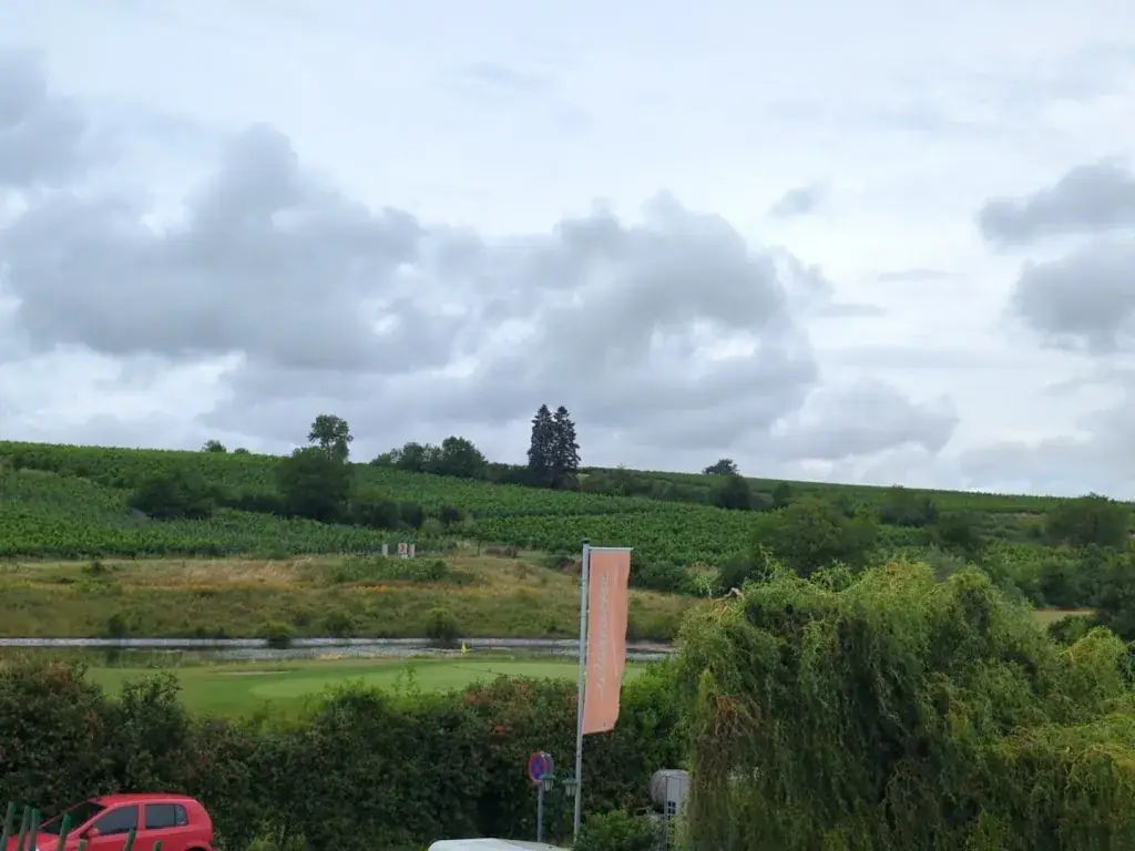 Rifat Memis_Hotel & Restaurant Neustifter_Poysdorf_avis