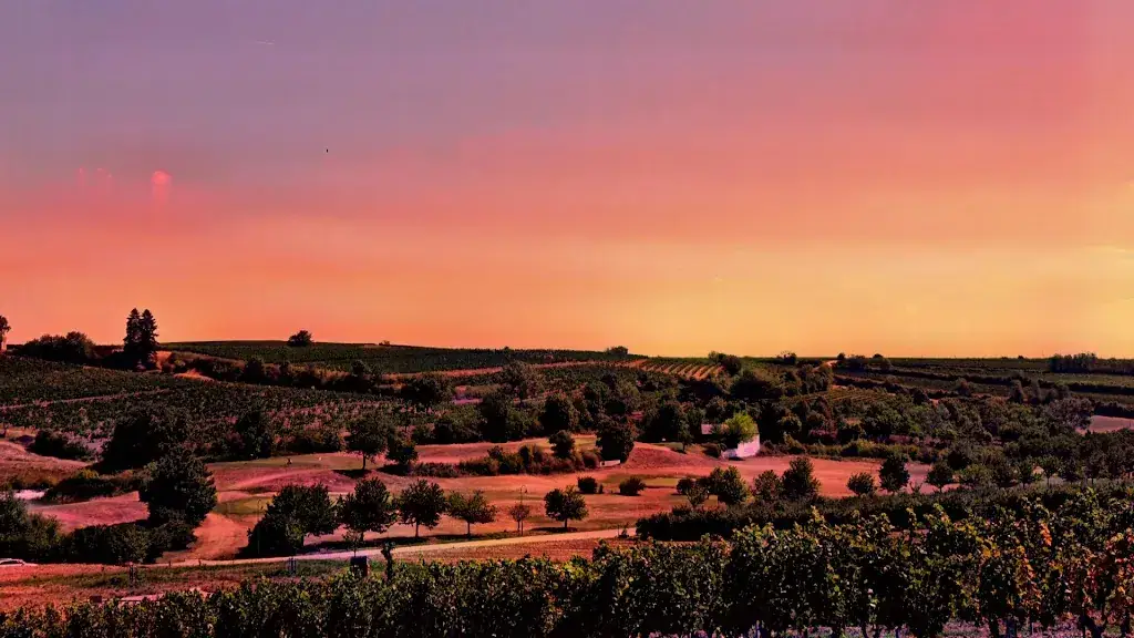 Hotel & Restaurant Neustifter_Poysdorf_slider_image_2